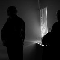 FENY   TORESEK Net 27